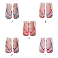 Pikkukuva 3 / 4: Manikyyriprinttisukat Flip Flop Print Sukat 3D Kuviosukat