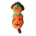 Miniatyrbillede 3 af 4: Kæledyr Kostumer Halloween Kæledyr Græskar Kostume Kæledyr Cosplay Vinter Varme Hunde Frakker Jakker Ferie Kostume Sæt Kæledyr Hunde Tøj（XL）