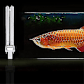 Miniatyrbillede 2 af 2: 2 stk. 11w Ultraviolet Uv Desinfektionslys Lamper Uv Sterilisationslyspærer Til Sterilisator Akvarium (g23 Lampe Sockel)