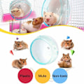 Miniatyrbild 4 av 5: 4,7 tum tyst hamsterhjul, hamsterleksaker för hamsterbur, superljudlös snurrande träningshjul för hamstrar, gerbiler eller möss (blå)