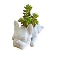 Miniatyrbilde 1 av 4: Harpiks Hund Sukkulent Planter Mini Valp Plante Planter, Fransk Bulldogg Form Søte Bonsai Blomsterpotter for Hjem Hage Kontor Skrivebord Dekor