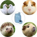 Miniatyrbild 4 av 5: Hamsterkeramisk flaska - Keramisk dricksfontän för små djur (Blå, 250 ml)