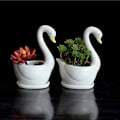 Miniatyrbild 2 av 3: Svanformad blomkruka vit keramisk blomkruka suckulent växt blomkruka