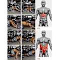 Pikkukuva 3 / 3: Vatsalihasrullalauta Core Fitness -laitteisto Lihasvoimaharjoittelu Neljällä Pyörällä Vatsalihaslevy
