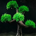 Miniatyrbillede 4 af 5: Kunstig Vandplante Akvarieplante Terrarium Akvarium Ornamenter Dekorationer Akvarium Simulation M