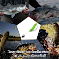 Miniatyrbild 5 av 5: Tungsten Projektil Tungt Fiskeutrustning Trumformad Tungstenkulor Bass 5 Stycken Fiskeutrustning