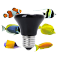 Miniatyrbillede 2 af 5: Varm E27 Kæledyrs Varmelampe Sort Infrarød Keramisk Emitter Varme Pære Kæledyrs Rugemaskine Reptil Lampe 220