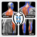 Miniatyrbilde 5 av 5: Foam Roller Massasje, Kalve Foam Massasjeverktøy, Arm Smertelindring, Stive og Stramme Muskler, Fascia Roller Blå