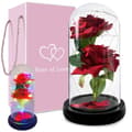 Everlasting Rose - Red Roses in Glass Dome with Lighting and Gift Box