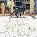 Miniatyrbillede 5 af 5: Mini GPS Data Logger Vandtæt GPS Tracker Logger til Kat Hund Kæledyr Sport Vandreture Rejsende Kortlægning Undersøgelse Navigation
