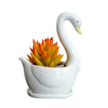 Miniatyrbild 1 av 3: Svanformad blomkruka vit keramisk blomkruka suckulent växt blomkruka