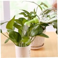 Miniatyrbillede 4 af 5: Flaskevander Havevander PVC-vander Plante Plastikflaske Vandingsudstyr 2 stk.
