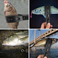 Miniatyrbild 4 av 5: Multifunktionell Fiskehandtag Klämma Verktyg Fiske Kropp Grepp Klämma Gripare Med