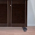 Pikkukuva 4 / 5: 6 mm:n kierteillä varustettu 40 mm:n pyörä, pyörivä, musta