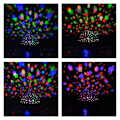 Miniatyrbilde 6 av 7: Koselig Projektorlampe: Stjernehimmel & Undervannsverden Multicolor multifärg