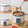 Miniatyrbillede 6 af 10: Elektrisk riskoger dampet risgryde ENKELT LAG SMART ENKEL Single Layer Smart Single Layer Smart