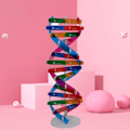 Miniatyrbillede 4 af 5: DNA Model Dobbelt Helix Struktur Undervisningsværktøj ABS Dobbelt Helix DIY Menneskelige Gener til Biologisk Videnskab