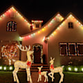 Miniatyrbilde 2 av 4: Julehjortbelysning God Jul Hage Julelysende Hjort Small Size with Light