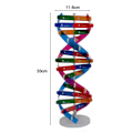 Pikkukuva 5 / 5: DNA-malli Kaksoiskierre Rakenne Opetusväline ABS Kaksoiskierre DIY Ihmisen Geenit Biologian Tieteelle