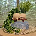 Miniatyrbilde 2 av 5: Sukkulenter i harpiks potter: perfekt for hjemme- eller hagedekorasjon