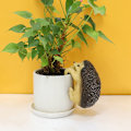 Miniatyrbillede 4 af 5: Top Collection Miniatur Fe Have og Terrarium Pindsvin Blomsterkrukke og Vase Krammer, Mini