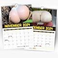 Miniatyrbillede 5 af 5: 2024 Verdens Største Svampekalender Vægkaleender Hængende