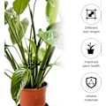 Miniatyrbild 5 av 5: SBSG 4 st Växtstöd för Klätterväxter i Kruka, Återanvändbara Växtstöd i Plast, Blomstöd, Växtpinnar, Spaljé, Stamkrok, Tillbehör för Växtlighet
