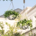 Miniatyrbillede 2 af 5: 2-pak hængende plantepotter til indendørs og udendørs planter, 10 tommer