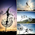 Miniatyrbilde 2 av 2: Dansende Fe Løvetann Statue Ornament Stakes Dandelion C