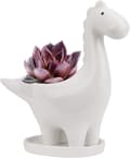 (Växt ingår ej) Keramisk blomkruka med fat - Vit, Dinos