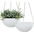 Miniatyrbillede 1 af 5: 2-pak hængende plantepotter til indendørs og udendørs planter, 10 tommer