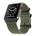 Pikkukuva 1 / 6: Apple Watch 38/40/41 Nylon -rannekoru Naton rannekoru vihreä vihreä
