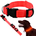 LED-halsband för Hund och Katt Justerbart 36–59 cm Röd