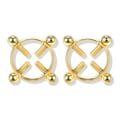 Miniatyrbillede 1 af 6: Falske brystpiercing uden huller brystvorte piercing nippel guld guld