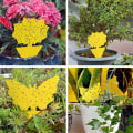 Miniatyrbillede 6 af 6: 20 -Pack Flycatchers - Fly Trap - Butterfly gul