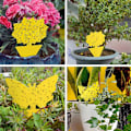 Pikkukuva 6 / 6: Perhosieppo - 12 kpl perholoukku - Butterfly keltainen