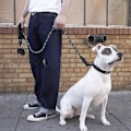 Pikkukuva 3 / 11: Koiran hihnarefleksi pidikkeellä kakkapusseille | Rekletive Reflex Leash 3m musta
