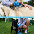 Miniatyrbillede 5 af 11: Brusebørstehandske til dyr - pelspleje vask hund kæledyr blå