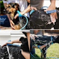 Miniatyrbillede 4 af 11: Brusebørstehandske til dyr - pelspleje vask hund kæledyr blå
