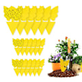 Pikkukuva 1 / 6: 20 -Pack Flycatchers - Fly Trap - Butterfly keltainen