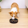Miniatyrbillede 4 af 4: Langsom foderhundemadsskål, kæledyr langsom fodringsplade, labyrint interaktiv hundepuslespil, sjov feeder-udvidelse stop langsom skål, ikke-giftig og anti-kvælning,