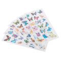 Pikkukuva 3 / 10: 6 kpl/setti DIY-päiväkirjatarra Käsikirjan koristetarra Scrapbooking-tarra Tarvikkeet (A004826)