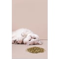 Miniatyrbild 2 av 2: Sticks Kattleksak - 3PCS Kat Catnip Leksaker Interaktiv Kattunge Tee