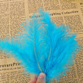 Miniatyrbillede 3 af 8: 200 stk. Fluffy Marabou Fjer til Kortfremstilling i Valgfrie Farver