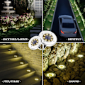 Miniatyrbilde 2 av 6: Solcelledrevne bakkelykter, 8 LED solcelledrevne skivebelysning utendørs vanntett landskaps plenbelysning for hage gårdsplass gangvei uteplass sti (8, varm W Warm White8