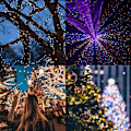 Miniatyrbild 5 av 6: Strålkastare Små Fe Vattentäta Solstrålkastare för Utomhus Hristmas Trä Halloween Trädgård Uteplats Bröllopsfest（12 meter med 100 lampor） Colourful Light