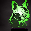 Miniatyrbillede 5 af 5: 3D Fransk Bulldog Natlys LED Berøringskontakt Dekoration Bord Skrivebord Optisk Illusion Lamper 7 Farve Skiftende Lys LED Bordlampe Jul Hjem Kærlighed Fødselsdag