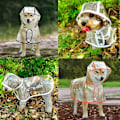 Miniatyrbillede 2 af 4: Hunde Regnfrakke. Vandtæt Bavoe Pet Regnfrakke Med Hætte. Let