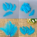 Miniatyrbillede 2 af 8: 200 stk. Fluffy Marabou Fjer til Kortfremstilling i Valgfrie Farver