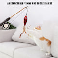 Miniatyrbild 3 av 5: Katt Fiske Spö Leksak Bite Resistance Multifunktionell Katt Fjäder Teaser Wand Leksak för Katter